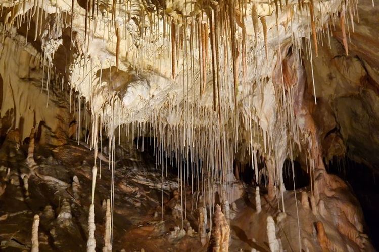slovensko-a-madarsko-tokaj-vune-vina-krasy-prirody-a-pamatek-gombasecka-jeskyne